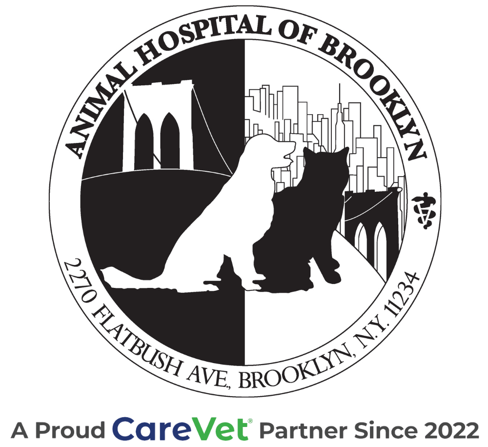 Animal Hospital of Brooklyn Logo